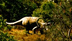 Parc Dinosaures 206