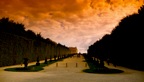 Paris - Versailles - 45